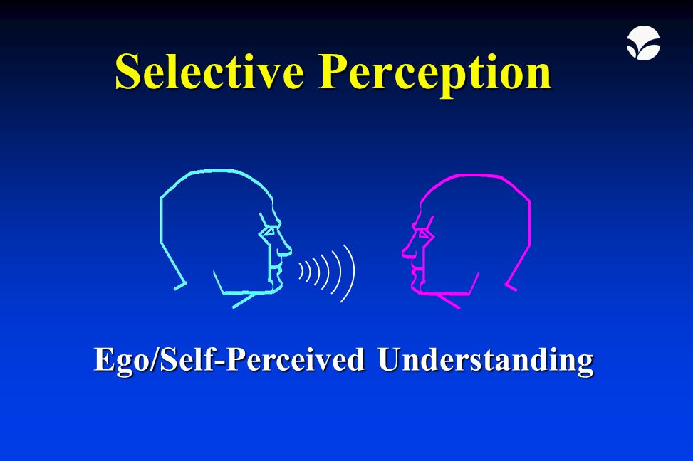 Self-Perception Theory